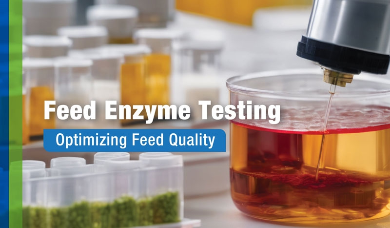 Feed Enzyme Testing